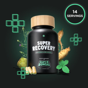 Superbonsai Super Recovery - Natural Ingredients with DHM and Milk Thistle - Supports Liver Aid - GMO Free, Gluten Free, Vegan, Sugar Free