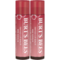 Holiday Glow in Red Dahlia: Long-Wear Shea Butter Lip Tint Balm – 2-Pack Stocking Stuffers