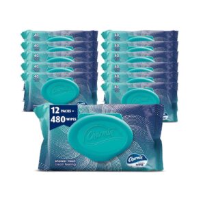 Pure-Flush Aqua Sheets | 480 Total Wipes in 12 Easy Packs - Biodegradable & Skin-Safe