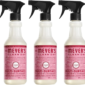 EcoMint Surface Magic – Limited Edition Peppermint 3-Pack, 16 Oz Each | Crisp Clean for Every Surface